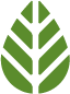 Ecology - leaf icon